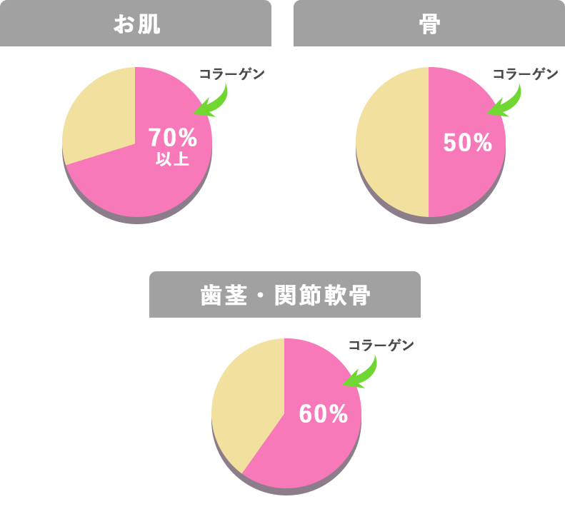 体の部位ごとのコラーゲン量
